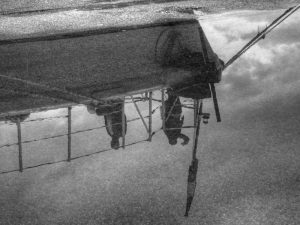 Reflejos_marinos_(1)[1]