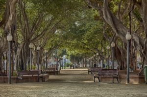 DSC_0082_HDR2