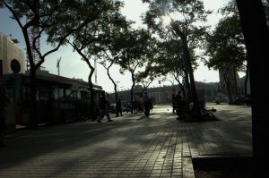 DSC_0012b